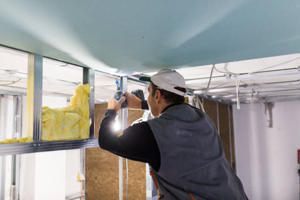 Best Insulation Maintenance and Repair in Barboursville, WV