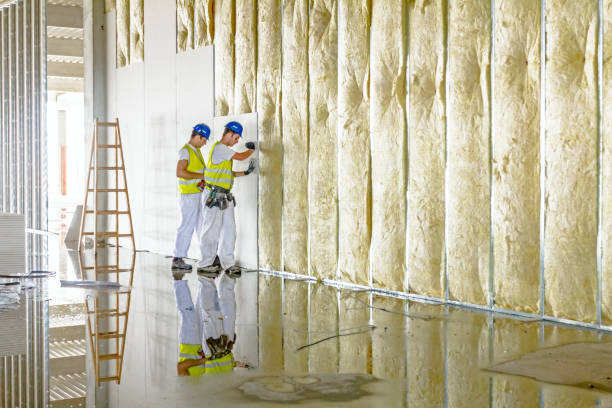 Best Insulation Maintenance and Repair in Barboursville, WV